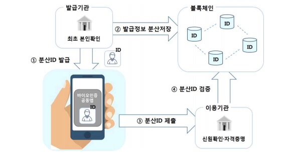 DID 기본 구조도 / 사진=금융결제원